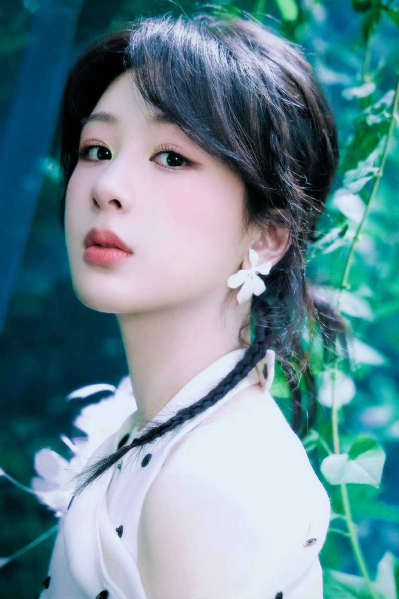 杨紫